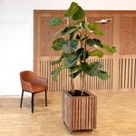 Squarely Copenhagen GrowBIG planter, dark oak, decoration image