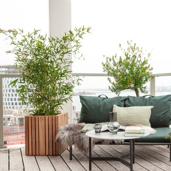 Squarely Copenhagen GrowBIG planter, dark oak, decoration image